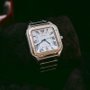 cartier1 (2)